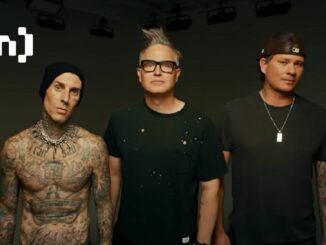 Blink-182 Song Turned into a Tune about Crypto, NFTs, and HoDLing Shitcoins