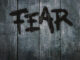 Crypto market extreme fear