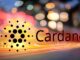 Cardano's algorithmic stablecoin to go live on mainnet in January 2023