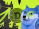 Dogecoin DOGE Price Surges 10% Following Elon Musk Mention, Broader Market Trades Flat