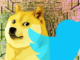 Dogecoin x Twitter: The worst kept secret in cryptocurrency?