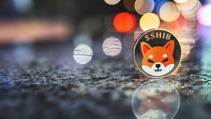 Shiba Inu price explodes ahead of key updates