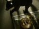 bitcoin bear market