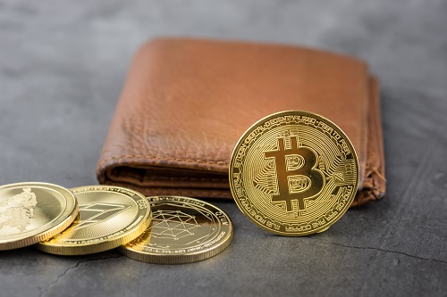 Bitcoin wallets with 100+ coins hit new one-year high