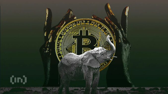 Central African Republic Delays Sango Coin Launch, Despite Bitcoin Being Legal Tender