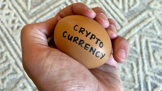 Cryptocurrencies: A Necessary Scam?