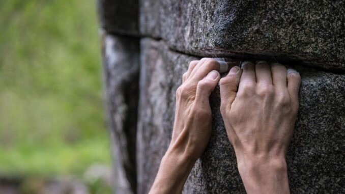 First Mover Asia: Bitcoin, Ether Hold On as U.S. Stocks Fall