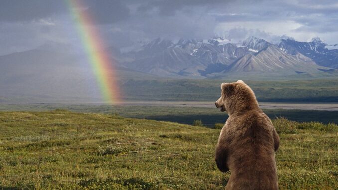 How Web3 Started Playing Positive-Sum Games