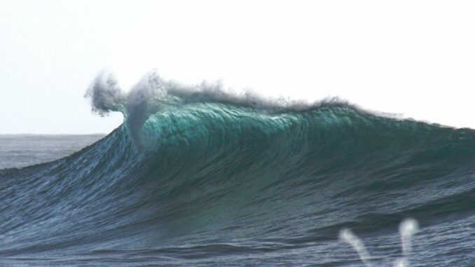 Waves Blockchain Founder Asks Exchanges to Delist WAVES Token Derivative Trading