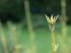 Altcoin Short Squeeze Brings Green Shoots to Dormant Crypto
