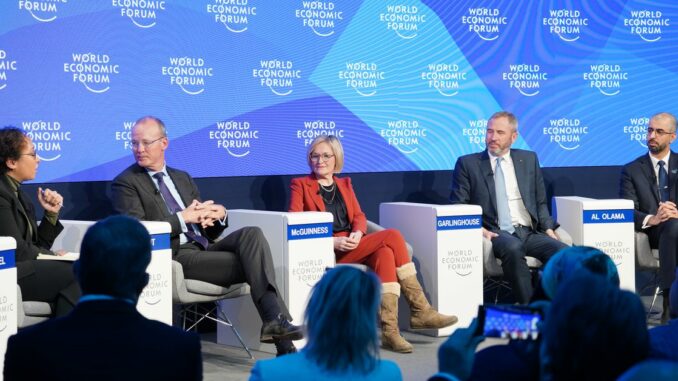 At Davos, Dutch Central Bank Chief Takes Aim at Jurisdictions That Attract Bad Crypto Actors