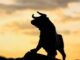 Bitcoin Retakes $17K as Interest Rates Plunge Following Economic Reports