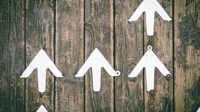 Bitcoin Retakes $20K, Leading as Broad Crypto Rally Continues