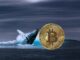 Bitcoin whales
