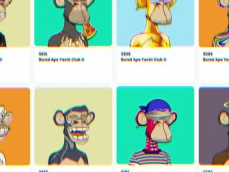 Bored Apes, a Troll and a Conspiracy Walk Into a Courtroom...