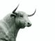Bitcoin Bull