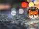 Eyes on Shiba Inu as it readies for Bugatti Group partnership