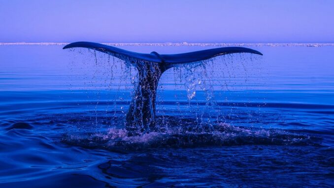 Market Maker Group One Discloses 13.5% Stake in MicroStrategy