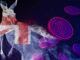 Aussie Exchange Swyftx Quietly Pulls Crypto Earn Program