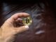 This Crypto Strategist Foresees A Bitcoin Price Reversal Soon