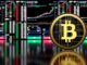 Bitcoin U.S. institutional investors