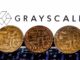 Grayscale bitcoin trust