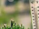 Bankrupt Lending Platform Celsius Names Users Eligible to Withdraw Assets