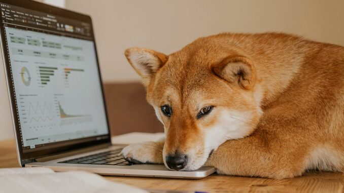Canine Crypto Coins Jump After Elon Musk Sends DOGE-Themed Tweet