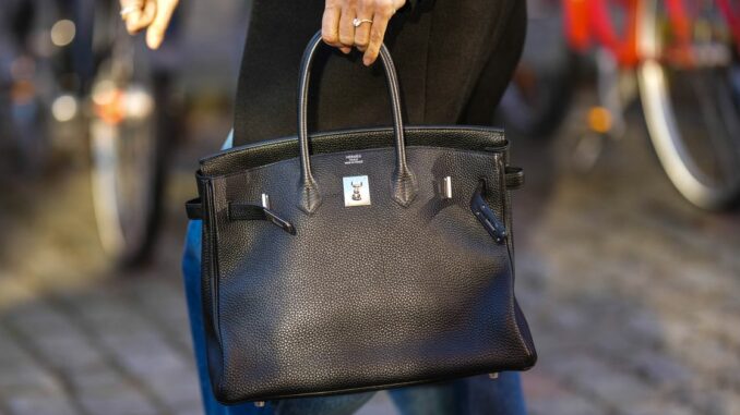 Hermès Wins Trademark Lawsuit Against Metabirkins NFTs, Setting Powerful Precedent for NFT Creators