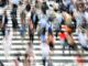 Investors Rush to Tether as Paxos' BUSD Faces Regulatory Heat, Curve Liquidity Pools Show