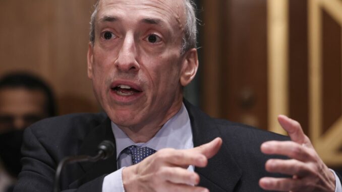 Is the SEC Really the Bad Guy?