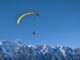 OP Token Falls After Surprise Optimism Airdrop