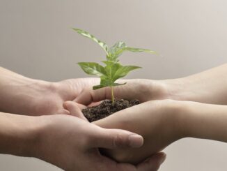Web3 Builders Need Better Funding Programs, Not Just Funds