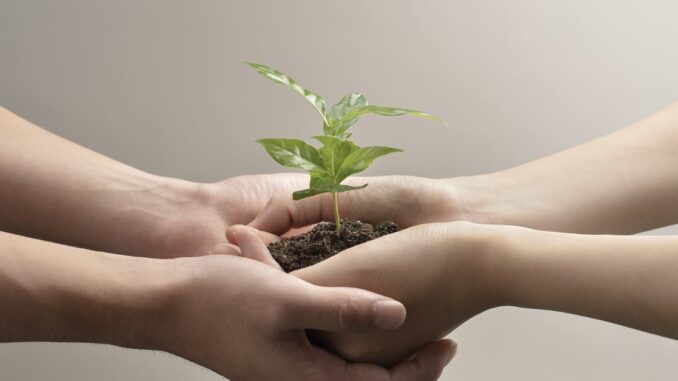 Web3 Builders Need Better Funding Programs, Not Just Funds