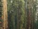 FTX’s $45M Sequoia Sale Cleared, as Embed Divestment Delayed