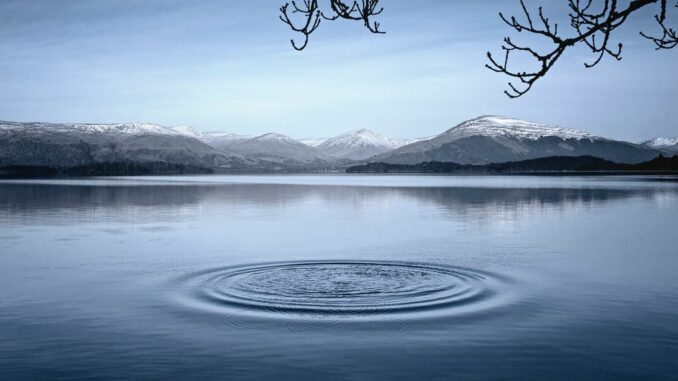 First Mover Americas: Ripple Labs' XRP Token Marches Forward