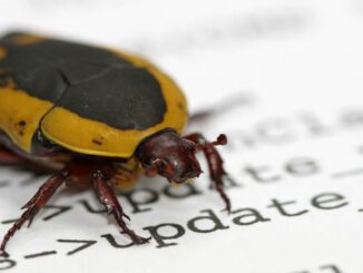 Solana-Based Crypto Exchange Raydium Proposes $2M Bug Bounty Fund