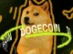 Why Dogecoin (DOGE) Network Activity Signals Bullish Potential