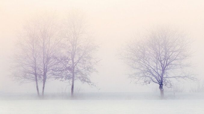 Consensus 2023 Nav Bar