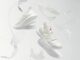 Adidas Releases Chapter 1 of Its ALTS Dynamic NFT Collection