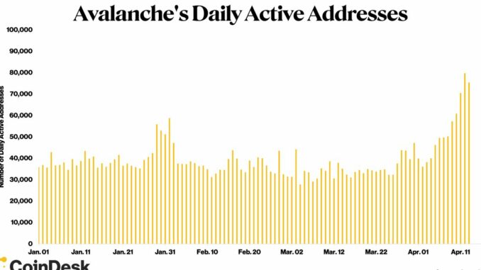Avalanche Surges to 6-Month High in Daily Active Addresses