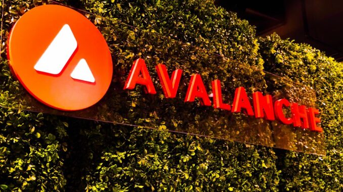 Avalanche’s New Subnet to Offer Blockchain Customization for Financial Institutions