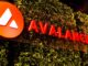 Avalanche’s New Subnet to Offer Blockchain Customization for Financial Institutions