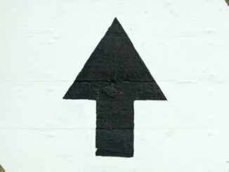 BTC's Huge Surge Pushes Crypto Market Capitalization to $1.19T, the Highest Since June