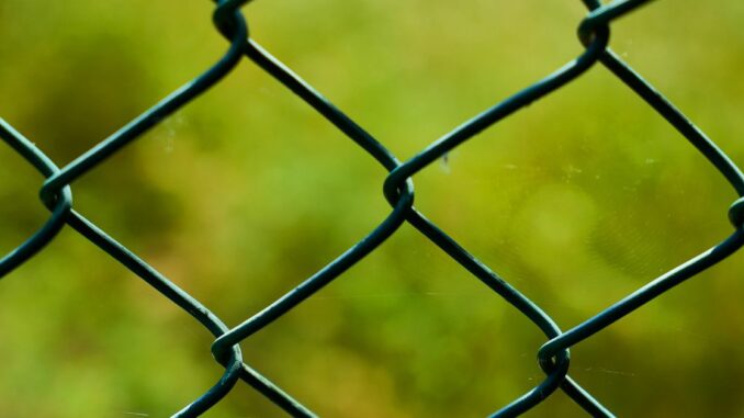 Bitcoin's Dominance Rate Runs Into Familiar Resistance, Hints at 'Altcoin Season' Ahead