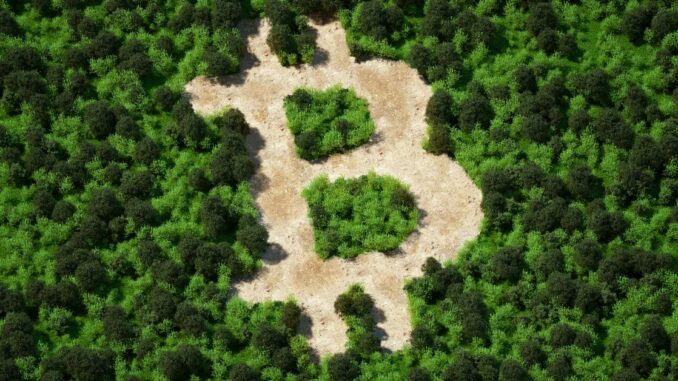 Could Bitcoin Be the Greatest ESG Investment of All Time?