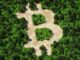 Could Bitcoin Be the Greatest ESG Investment of All Time?