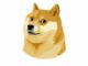 DOGE Soars After Elon Musk's Twitter Replaces Its Blue Bird Logo With the Token's Dog