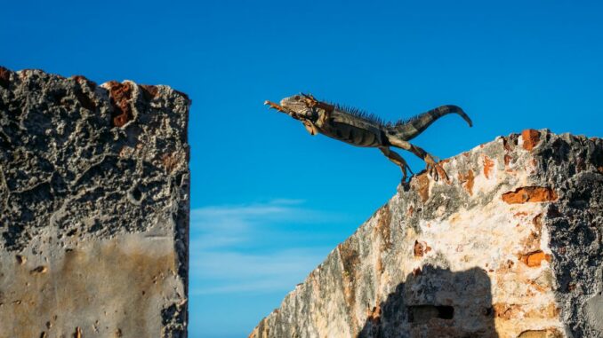 Decentralized Liquidity Platform Synthetix Sees Jump in Fees Collected Amid Incentive Campaign