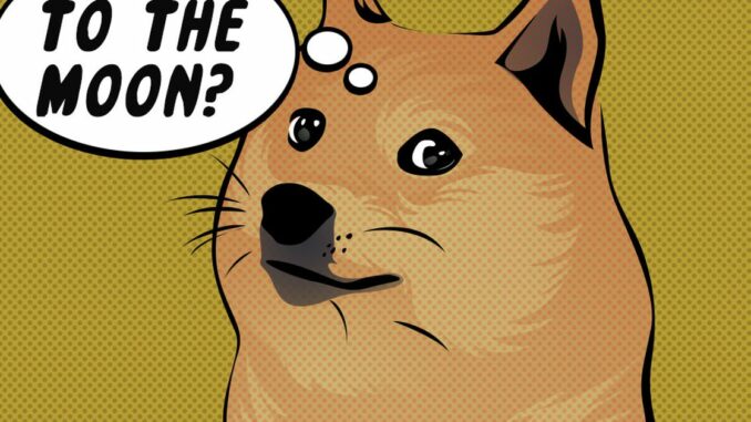 Dogecoin Futures Liquidations Jumps to $26M After Twitter Displays Token's Logo for Some Users